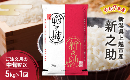 令和7年産 新潟県 上越市産 新之助5kg 白米 ※ご注文月の中旬配送