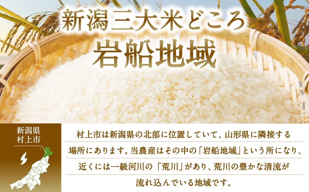 【新米受付・令和6年産米】NB4075 特別栽培米 新潟県岩船産 コシヒカリ 12kg（6kg×2ヶ月コース）