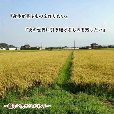 ふるさと納税 行方市 令和8年産新米【栽培期間農薬不使用】こしひかり白米10kg |  | 01