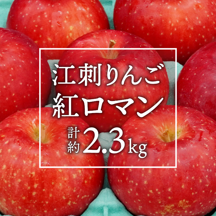 数量限定 江刺りんご 紅ロマン 2.3kg(8～11玉) 【8月下旬以降お届け】離島配送不可 [AQ021]