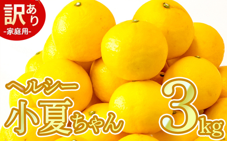 【訳あり】小夏 (日向夏) ヘルシー小夏ちゃん 3kg | 家庭用 期間 数量 限定 旬 人気 果物 くだもの 柑橘 フルーツ みかん ジュース 高知県 須崎市 KYM009