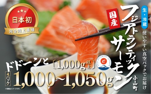 日本初 完全陸上養殖 フジアトランティックサーモン 生 ・冷蔵 4パック 1,000～1,050g（ 1,000g以上 ） | サーモン アトランティックサーモン 刺身 海鮮丼 さーもん 小分け 真空パック 人気 おすすめ 国産 静岡県 小山町