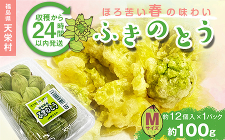 収穫から24時間以内に発送！ほろ苦い春の味わい「ふきのとう」Mサイズ1パック100g（約12個） F21T-349