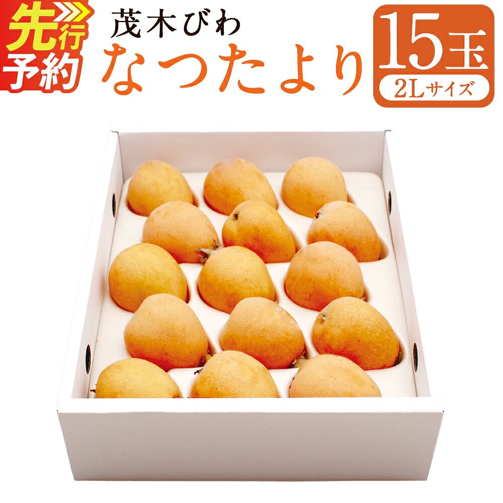 【ふるさと納税】先行受付 茂木 びわ『なつたより』2Lサイズ 15玉入り | 1キロ箱 1kg 枇杷 ビワ 果物 果実 フルーツ 長崎県産 アフター保証 九州 長崎県 長崎市 送料無料【2027年5月下旬-6月上旬発送予定】