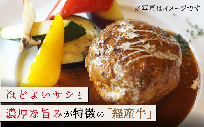 【人気返礼品セット！】牧場直営店の黒毛和牛100%ミンチ 500g＆切り落とし 400g【川崎畜産】 [IAX025]