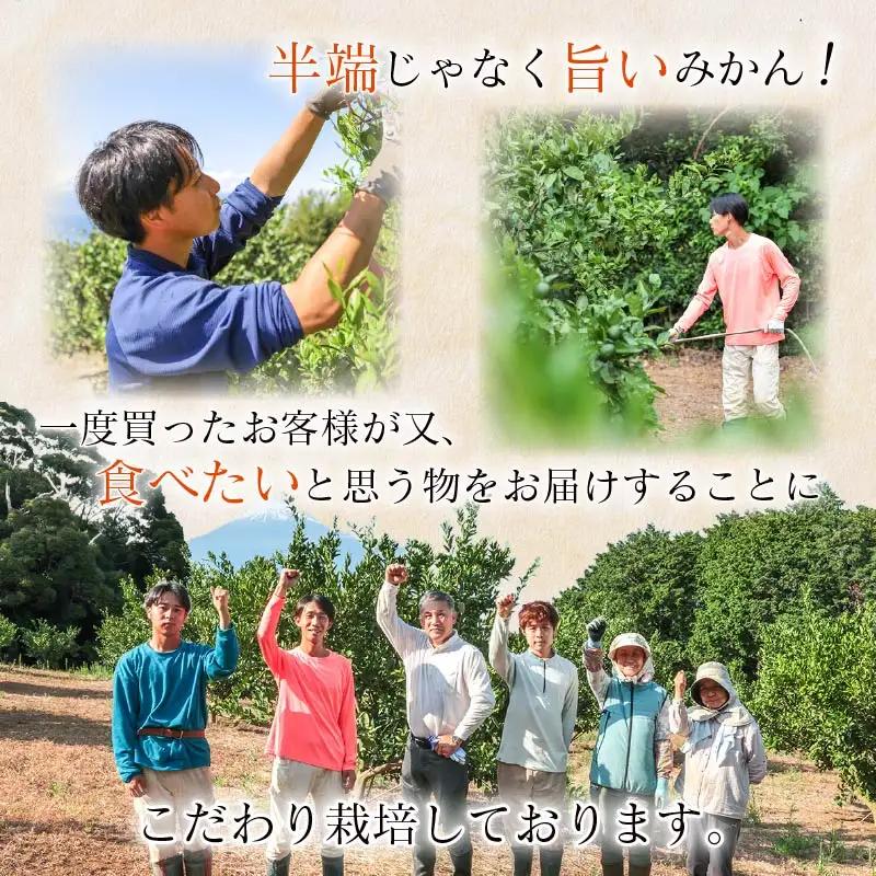 【予約受付】 秀品 寿太郎 みかん 3kg ミカン 蜜柑 mikan