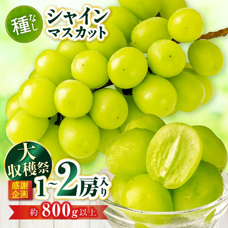 【ふるさと納税】【大収穫祭・感謝企画】シャインマスカット　約800g以上(1～2房) | シャインマスカット マスカット ぶどう ブドウ 葡萄 果物 フルーツ くだもの 国産 旬 人気 種なし 皮ごと食べられる ジューシー 糖度が高い 季節限定 おすすめ 旬の果物 香川 香川県 三木町