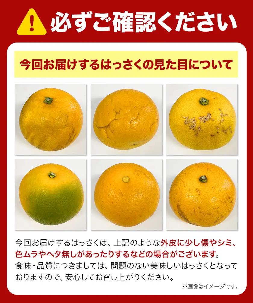 八朔 はっさく 約4kg