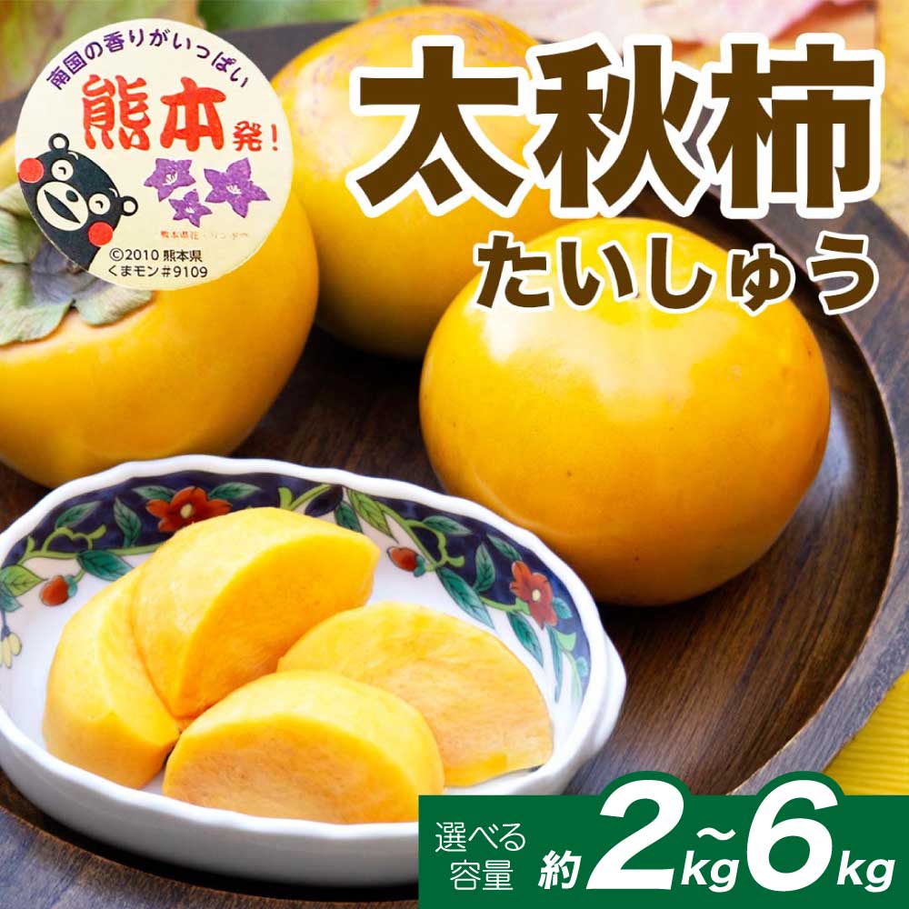 【ふるさと納税】 先行予約 太秋柿 選べる容量 約2kg (4～8玉) 約3kg (8～15玉) 約6kg (16～30玉)【2026年9月上旬～10月下旬発送予定】柿 かき 果物 フルーツ くだもの 柑橘 柑橘類 フルーツ 国産 熊本 熊本県 九州 産地直送 日本フルーツ
