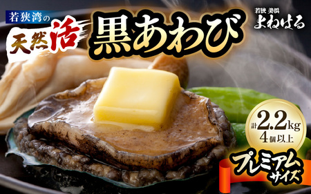 【先行予約】天然 黒あわび プレミアムサイズ 計2.2kg（4個以上）【2027年3月より順次発送予定】数量限定 活あわび [m17-p003_03]