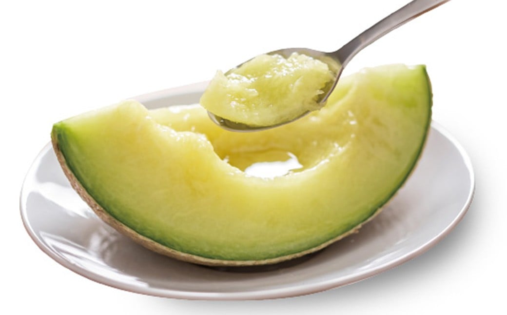 【4ヶ月定期便】訳あり静岡県産アローマメロン 1玉（1玉 約1.0kg以上）