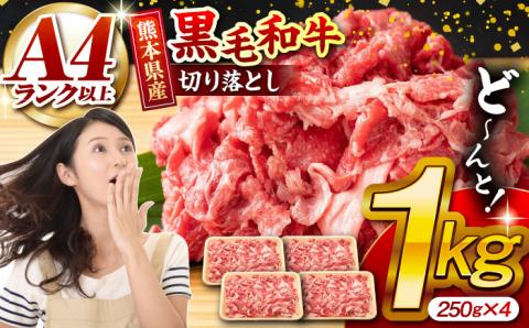 熊本県産 黒毛和牛 切り落とし 計約1kg (約250g×4P)【有限会社九州食肉産業】 小分け 国産 A4 A5 山鹿 [ZDQ019]