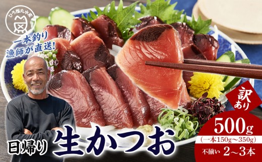 
                  かつお一本釣り漁師が直送！ 日帰り生かつお 訳あり 500g入
                