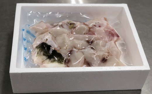 鮮度と品質に自信あり！朝〆新鮮！とらふぐ贅沢ぶつ切り（約600g）