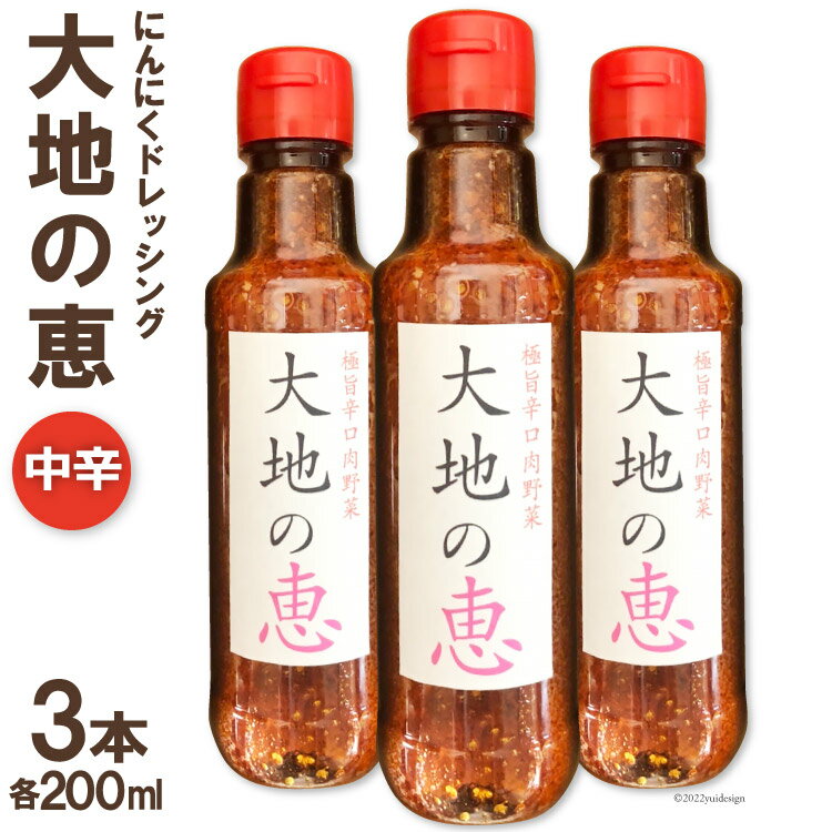 【ふるさと納税】 ドレッシング 大地の恵 中辛 200ml 計3本 [矢口農園 長野県 池田町 48110488] にんにく