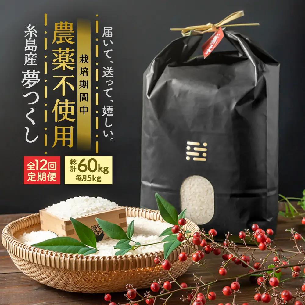【全12回定期便】農薬を使わずに育てた 山つき 5kg 夢つくし 吉富町/(株)やました[BGBX016]