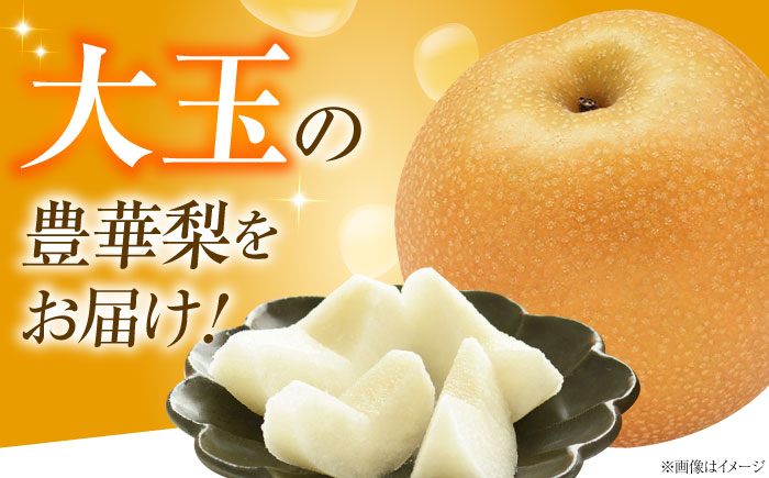 稲田ペアファームの豊華梨 （ゆたかなし） 6～9玉 〈2026年9月～発送〉 ／ フルーツ 果物 くだもの 食品 人気 おすすめ 梨 なし ゆたか 和梨 甘い 旬 ふるさと納税 【株式会社内子フレッシ