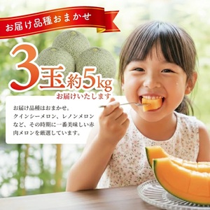 SA2883　庄内赤肉メロン　約5kg(3玉入)