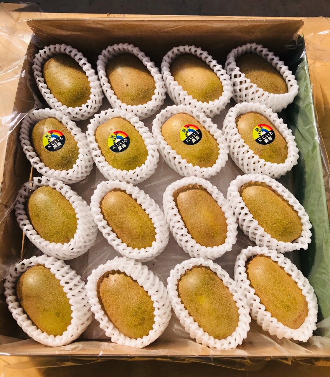 【ふるさと納税】【先行予約】キウイ フルーツ 黄金甘露 約1.9kg 希少品種 甘くてジューシー 早生品種 フルーツ 果物 旬 《お届け：2025年9月20日頃～2025年10月20日頃出荷》 山口県 阿武町産 デザート