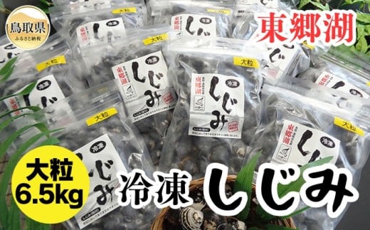 E24-008 東郷湖冷凍しじみ（大粒） 6.5kg
