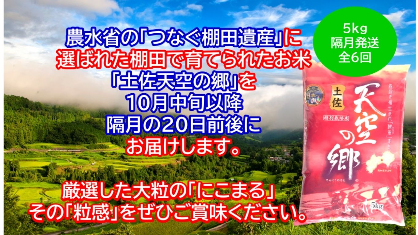 【新米定期便】令和7年産土佐天空の郷 にこまる 5kg 隔月お届け 全6回 2010年・2016年 お米日本一コンテスト inしずおか 特別最高金賞受賞の棚田米