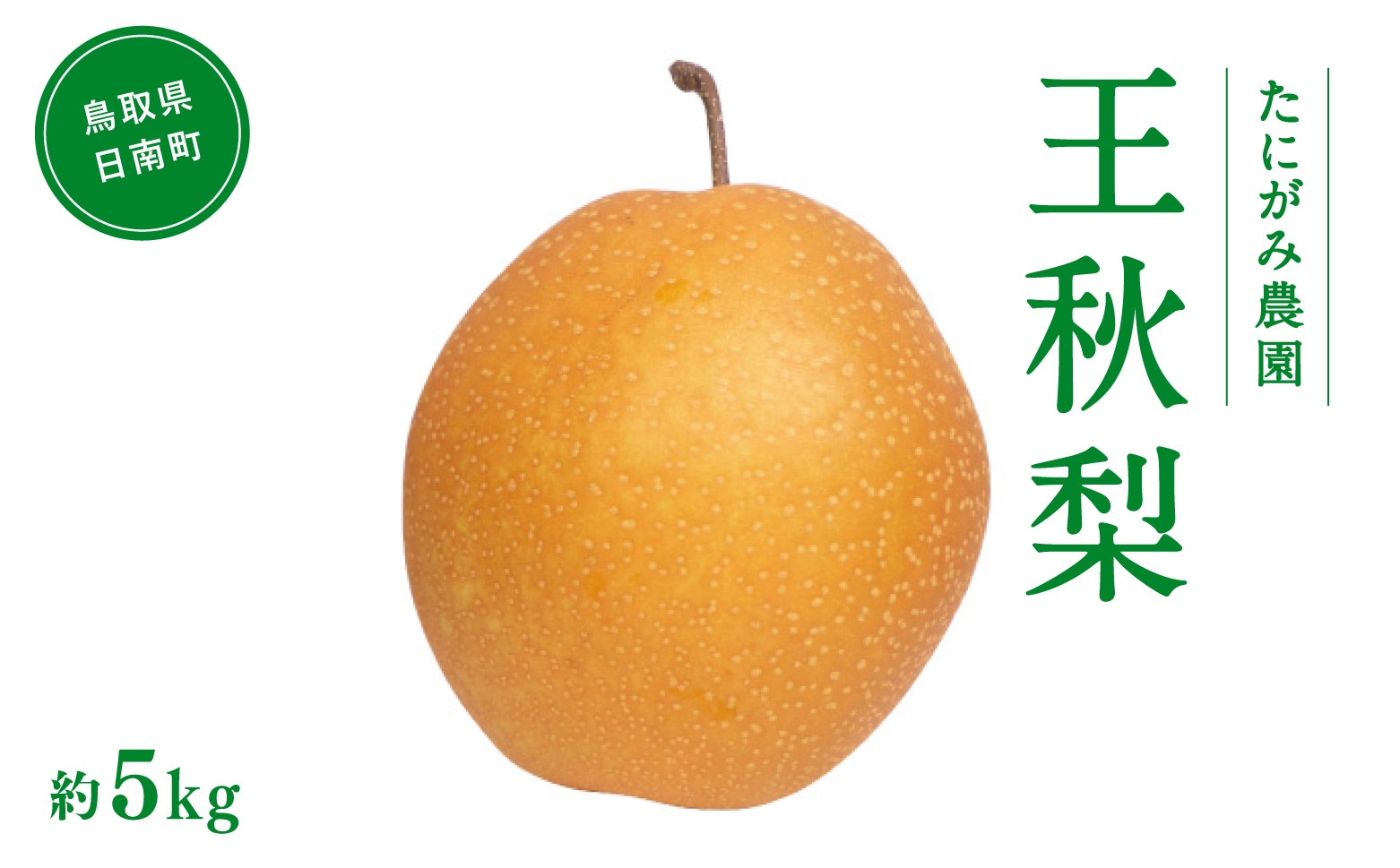【11月中旬以降順次発送】たにがみ農園 王秋梨 5kg (7玉～14玉) 梨 なし フルーツ 果物 くだもの 鳥取県 佐治 梨 なし ナシ