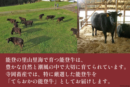 【てらおかの能登牛】 ロース (4?5等級) すき焼き 用 (450g)