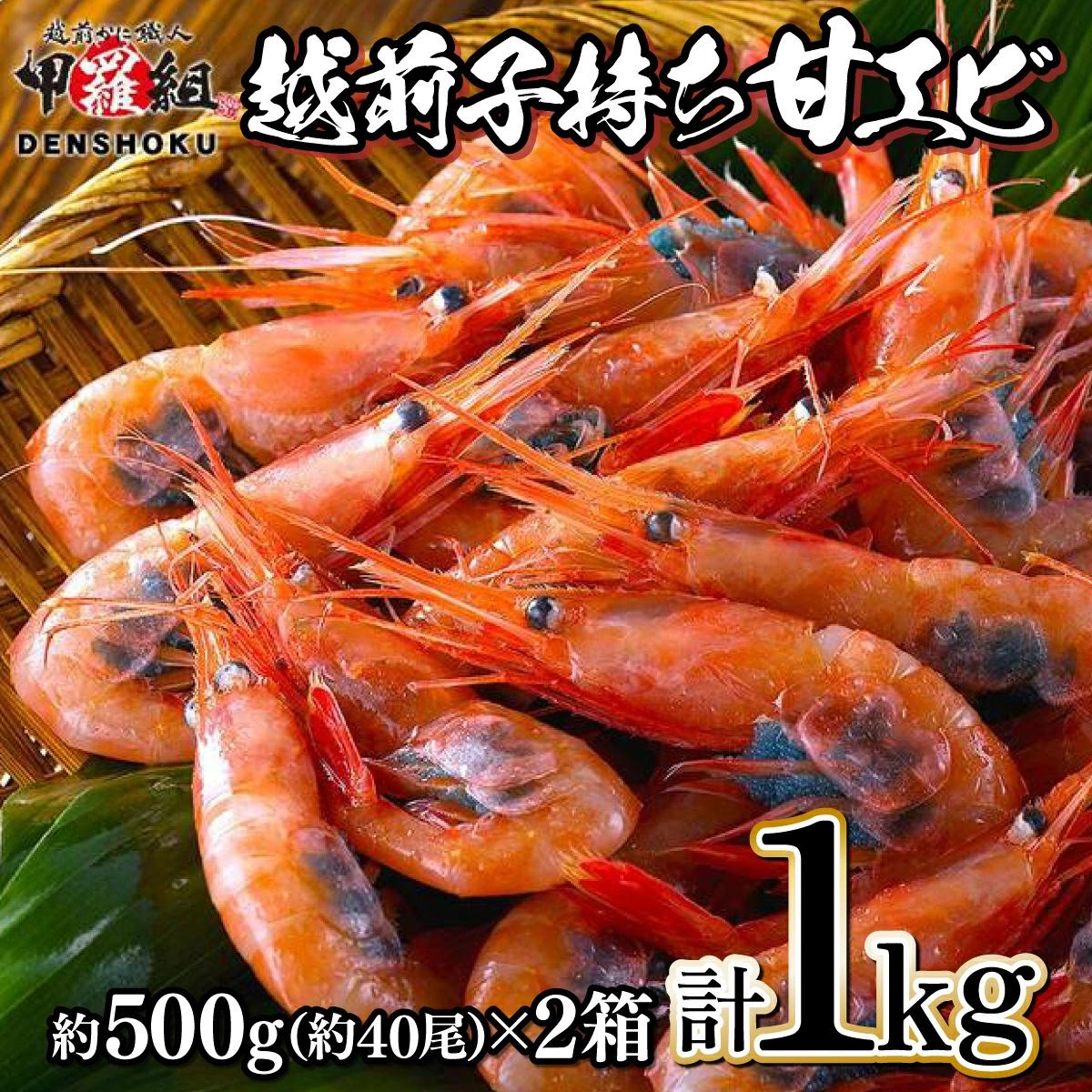 越前子持ち甘エビ 約500g（約40尾）× 2箱（計1kg） [024-a037] 【敦賀市ふるさと納税】