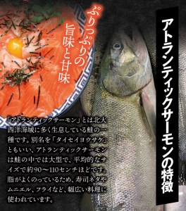 タスマニア産サーモンブロック 3ブロック 合計600g サーモン 鮭 さけ 刺身  さしみ 冷凍 オーストラリア産【nks701A】