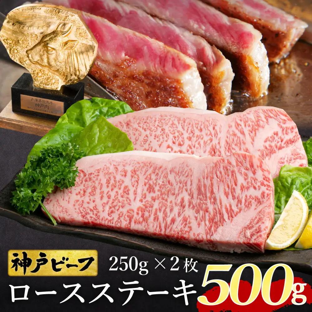 神戸牛 ロースステーキ500g（250g×2枚）TYST5