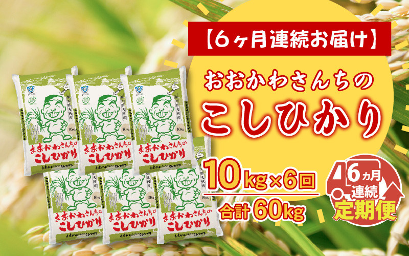 
                  【令和7年産】 【6ヶ月連続お届け定期便】おおかわさんちのコシヒカリ 10kg × 6回 計60kg 【コシヒカリ 米 おこめ 精米 10キロ ブランド米 国産】 [J-10803]
                