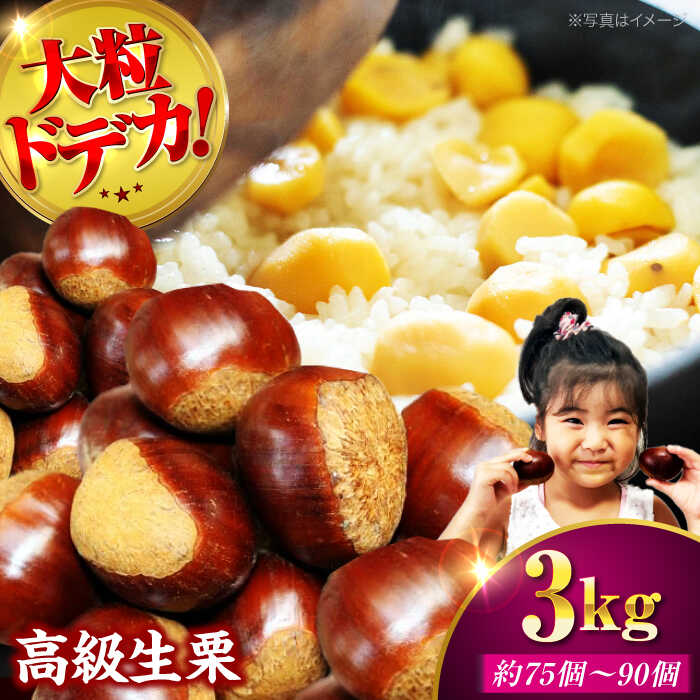 【ふるさと納税】【先行予約】【9月下旬から配送開始】ドデカ 生栗 3kg（ 約 75 個 〜 90個 ） | 人気 おすすめ ランキング おいしい 甘い 大洲市/有限会社西山青果 [AGAR006] 30000 30000円 以下