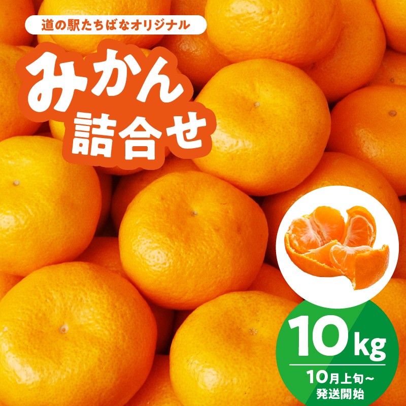 ＜道の駅たちばなオリジナル＞みかん10kg詰合せ（2026年10月上旬より発送開始） みかん ミカン オレンジ くだもの 果物 フルーツ デザート 極早生 早生 甘い 福岡県 八女市