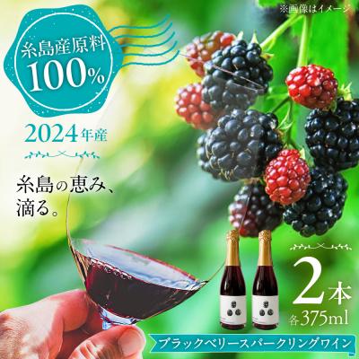 ふるさと納税 糸島市 2024年産 糸島産ブラックベリースパークリングワイン 375ml 2本セット  [AHM003]