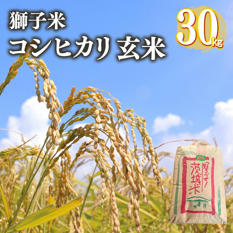【ふるさと納税】【令和7年産】獅子米 コシヒカリ 玄米 30kg 岡田ファーム コンテスト受賞米 お米 米 おこめ ブランド米 こしひかり 30キロ 国産 コメ こめ ご飯 銘柄米 茨城県産 茨城 産直 産地直送 農家直送 ごはん 家庭用 贈答用 お取り寄せ ギフト 送料無料 (B02-004)