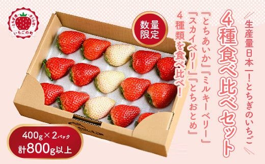 大満足4種食べ比べセット（とちおとめ、ミルキーベリー、とちあいか、スカイベリー）400g×2パック 800g｜先行予約 数量限定 ※2026年2月上旬～4月中旬頃に順次発送予定