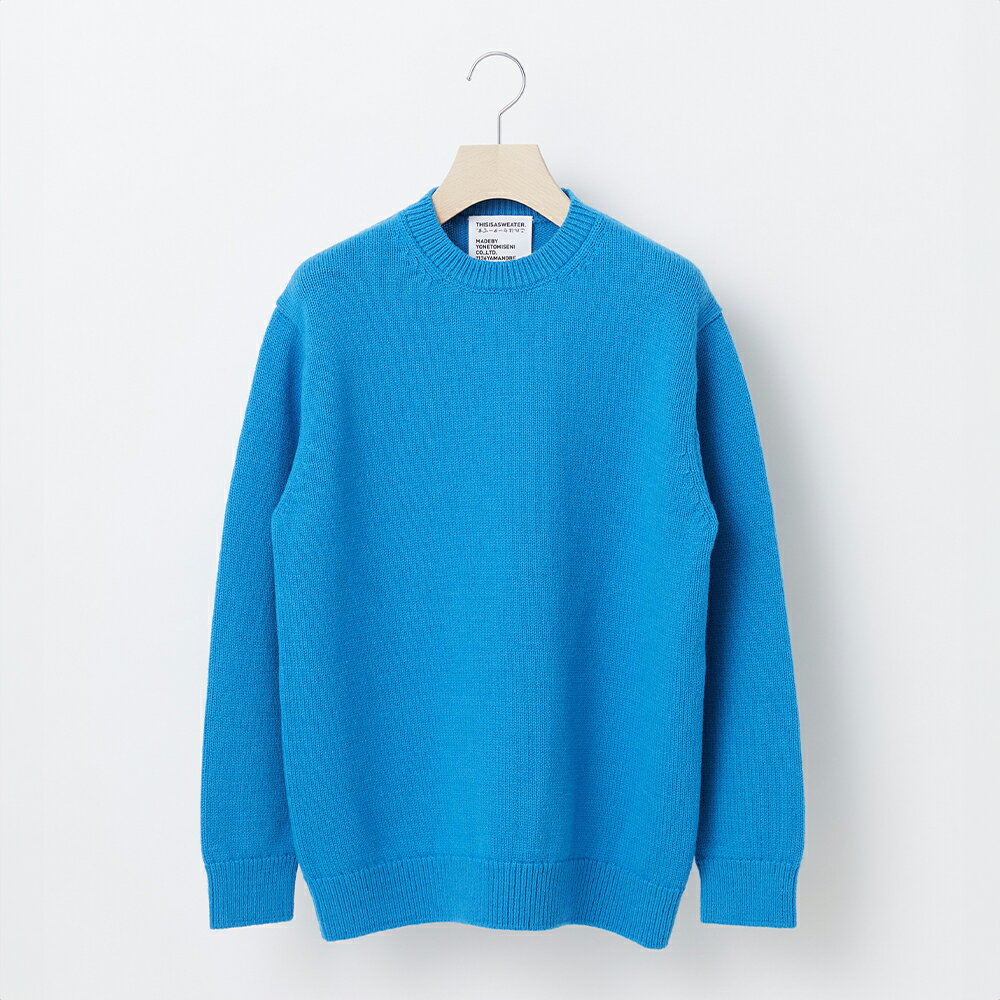 【ふるさと納税】 ≪先行予約≫【THISISASWEATER.】A1 : A SWEATER IS ORDINARY BLUE ブルー カシミヤセーター 服 洋服 ユニセックス メンズ レディース ブランド 山形県 山辺町 送料無料 yt-soxxa ※沖縄・離島への配送不可