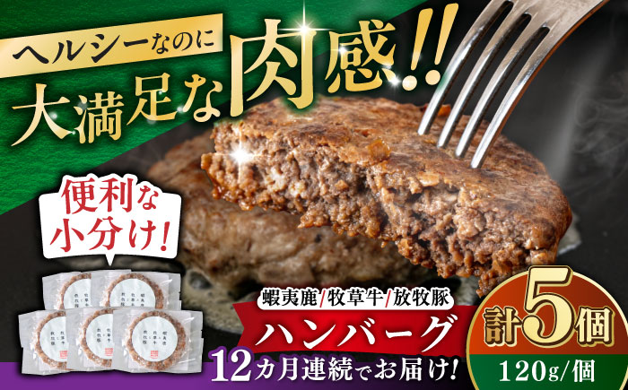 【全12回定期便】【蝦夷鹿×牧草牛×放牧豚】ハンバーグ 5個 《厚真町》【GOODGOOD株式会社】 ハンバーグ 鹿肉 牛肉 豚肉 小分け 冷凍配送 北海道 [AXBP021]