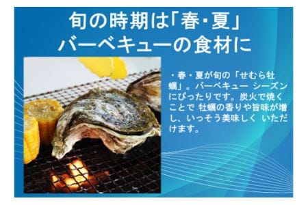 牡蠣 カキ 岩ガキ 岩がき 岩牡蠣 岩カキ 海のミルク 濃厚 クリーミー 夏バテ防止 5kg  焼き 蒸し 加熱 (1247)