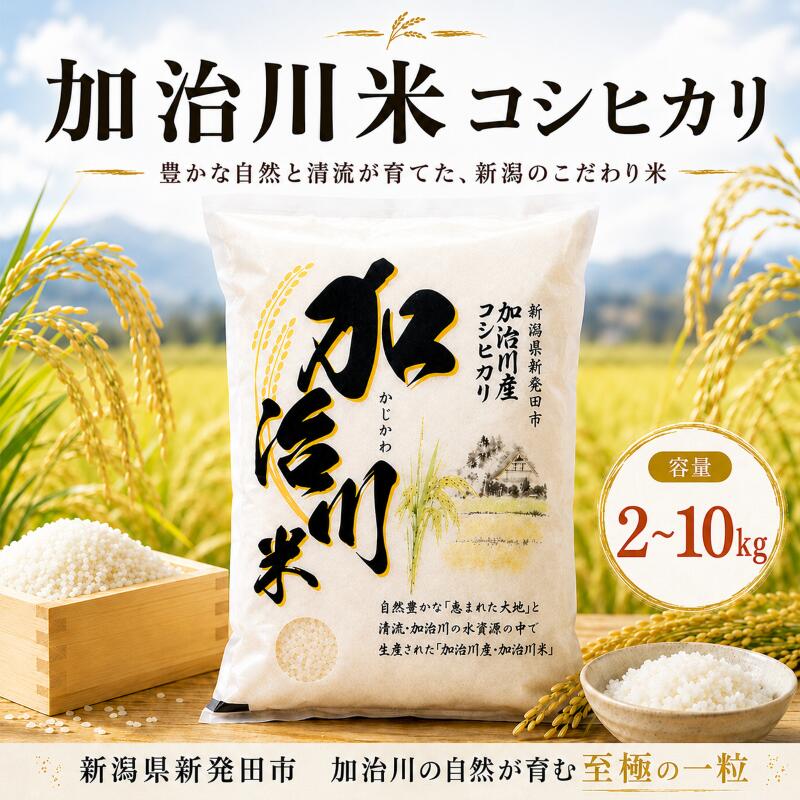 【ふるさと納税】 加治川米コシヒカリ 令和7年産 新潟県産 コシヒカリ 2kg 5kg10kg（5kg×2袋） 新潟県 新発田市 新潟 ふるさと納税 精米 米 お米 こしひかり 白米 こめ ご飯 ごはん 美味しい 贈り物 国産 お取り寄せ 産地直送 GAP認証 JGAP アグリ加治川 agk001P