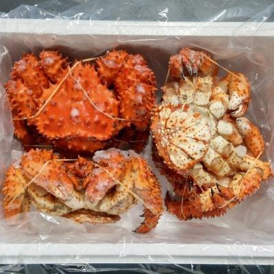 ふるさと納税 根室市 【北海道根室産】花咲ガニ450g×5尾 C-57050 |  | 01