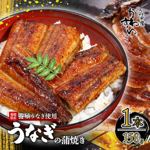 【うなぎ】〈うなぎ屋かわすい〉愛媛県松山市養殖うなぎを使用！うなぎ蒲焼 1本 (1尾：150～169g) 【KWS00601】
