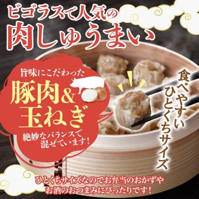 ふるさと納税 大樹町 十勝 肉しゅうまい 18個入り 5パック ひとくちサイズ 北海道 大樹町 |  | 01