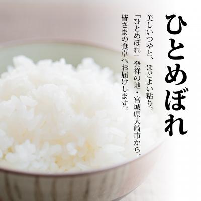 ふるさと納税 大崎市 令和8年宮城県大崎市産 ひとめぼれ 5kg |  | 01
