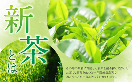 W26-18 新茶 八女星野茶 120g×2本