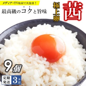 【定期便3回】 高級品質 !  箱庭たまご 「茜」 9個 真岡市 栃木県