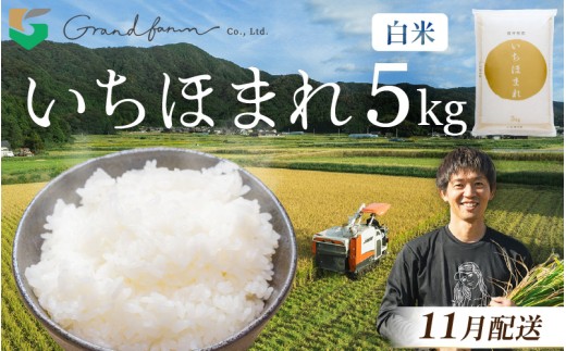 【先行予約】令和8年産 新米 いちほまれ 白米 5kg【2026年11月発送】精米 福井県 美浜町産 こめ コメ お米 おこめ 5キロ 10キロ おすすめ [m46-a005_11]