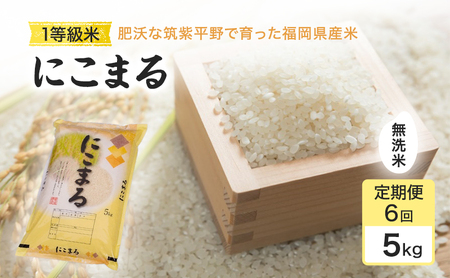 にこまる 1等級米 無洗米 福岡県産 にこまる【5kg】【定期便6回】