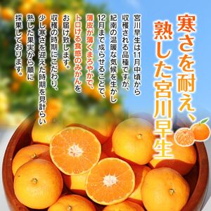 完熟早生みかん　宮川早生１kg※2025年12月から順次発送予定※【期間限定・12/20まで受付】 / 和歌山県 ミカン フルーツ 果物 柑橘 田辺市 【nak004】