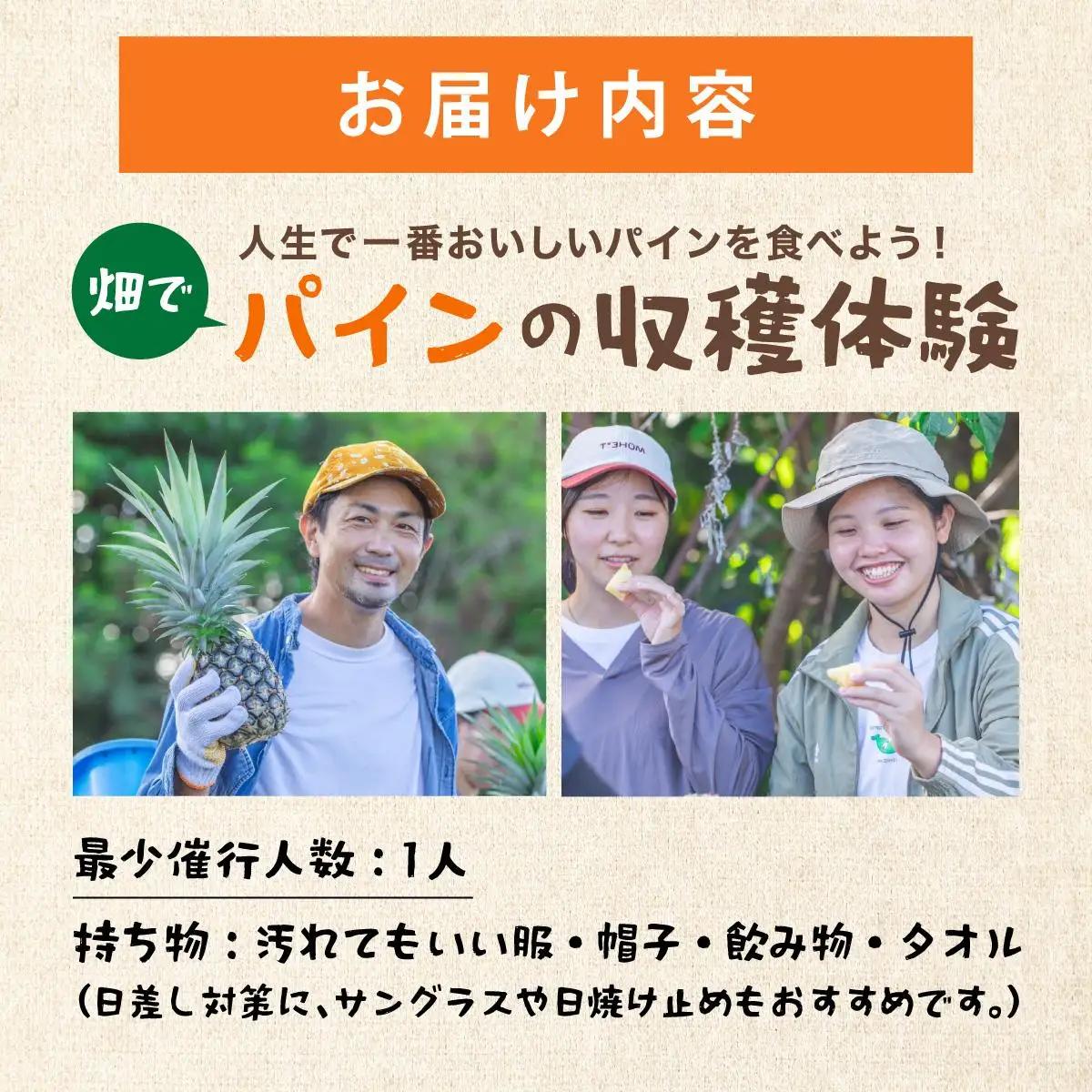 パイン収穫体験参加クーポン